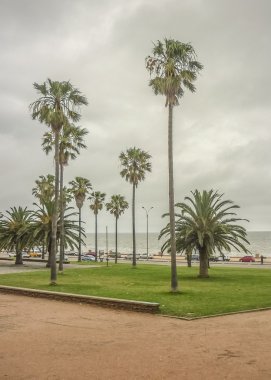 Montevideo sahil parkında