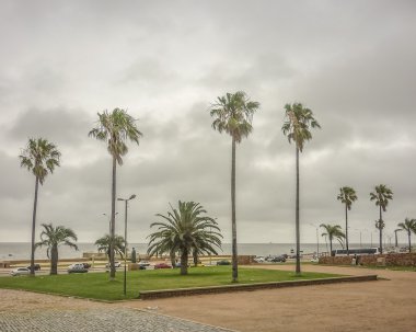 Montevideo sahil parkında