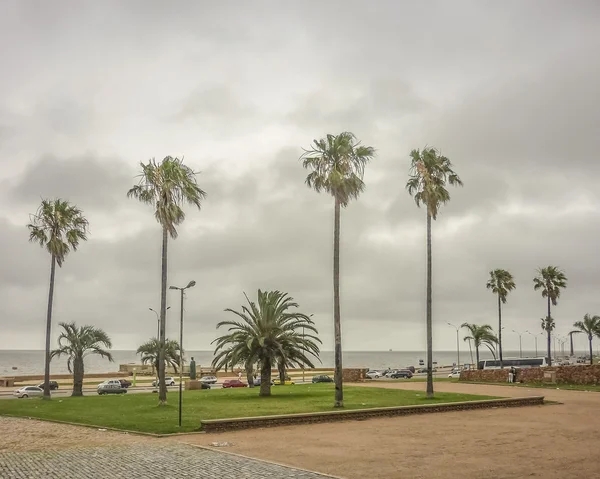 Park an der Küste von Montevideo — Stockfoto