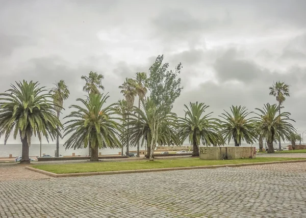 Park op de kust van Montevideo — Stockfoto