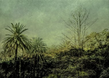 doğa sahne grunge vintage tarzı fotoğraf