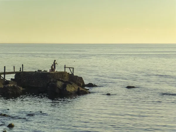 Hommes Pêche sur la côte — Photo