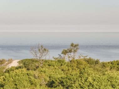 uruguay sahil peyzaj