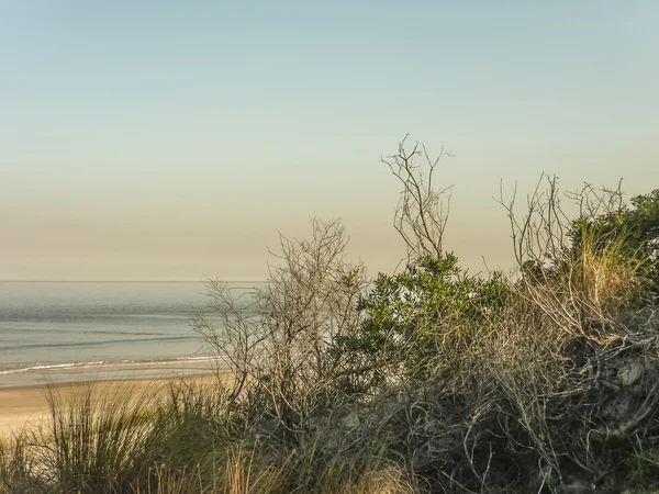 Paesaggio nella costa dell'Uruguay — Foto Stock