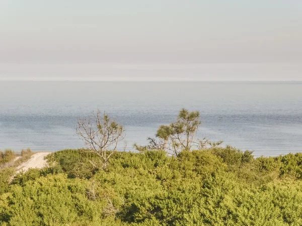 Paisagem na Costa do Uruguai — Fotografia de Stock