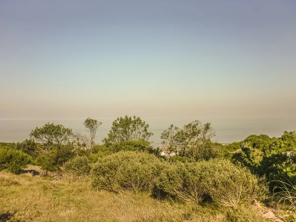 Paisagem na Costa do Uruguai — Fotografia de Stock