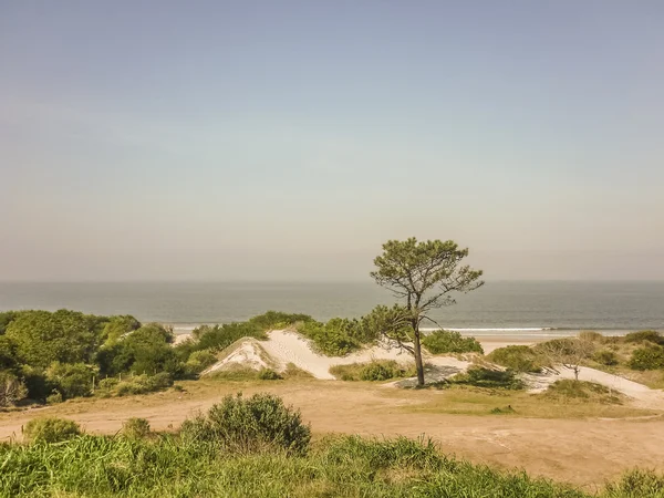 Paisaje en la Costa de Uruguay —  Fotos de Stock