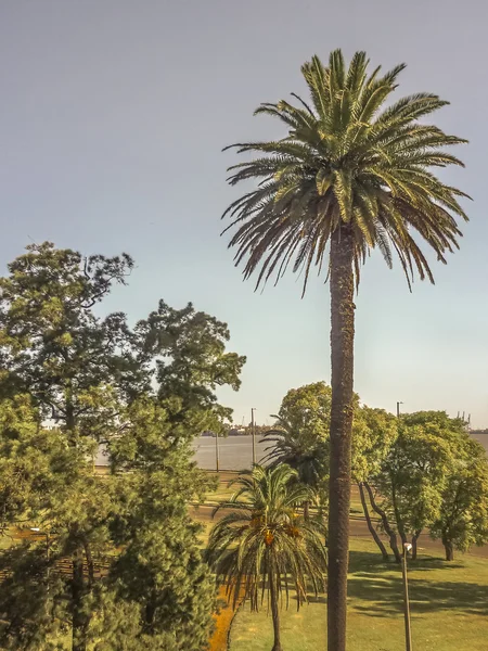 Montevideo park parque capurro — Stockfoto