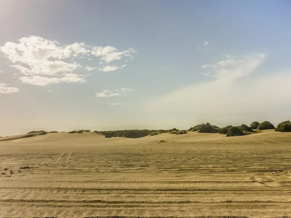 沙丘的 carilo 海滩 — 图库照片