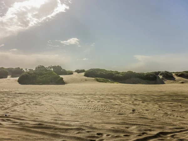 沙丘的 carilo 海滩 — 图库照片