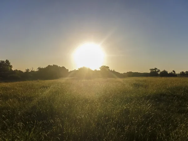 Landsbygdens scen vid solnedgången — Stockfoto
