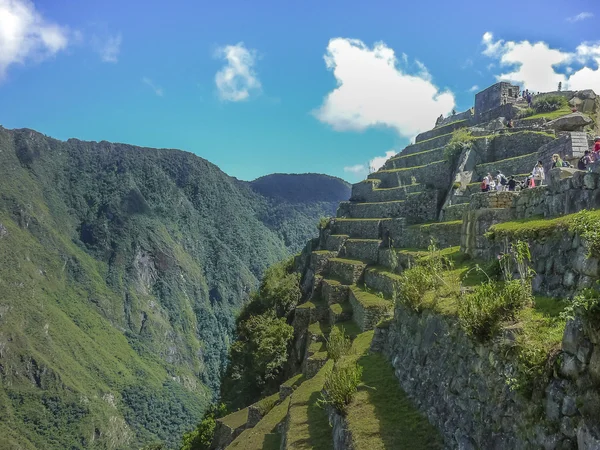 Terrazze della città di Macchu Pichu — Foto Stock