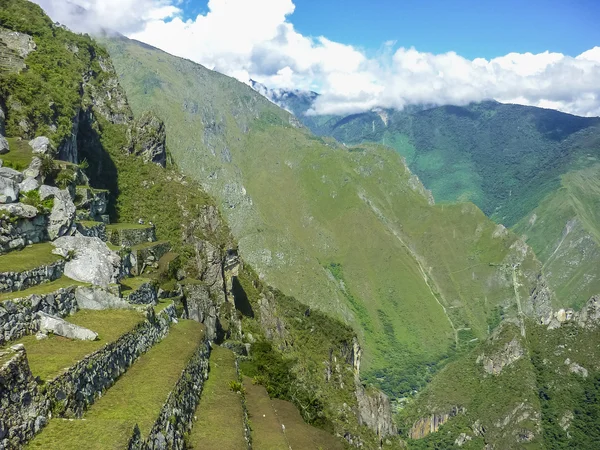 Macchu Pichu şehrinin terasları — Stok fotoğraf