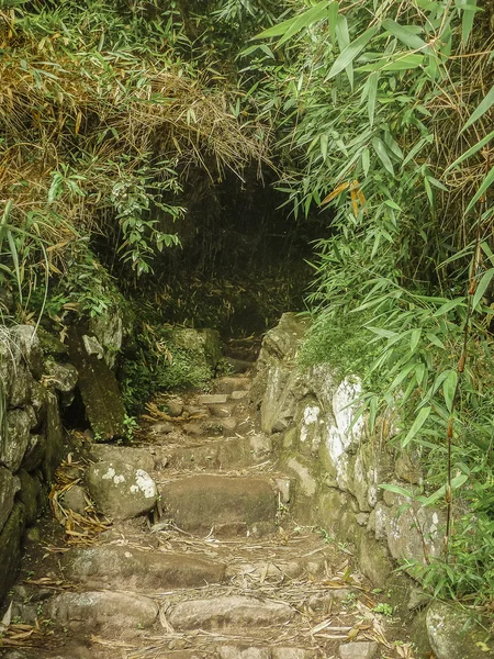 Weg omhoog de Machu Picchu Berg — Stockfoto