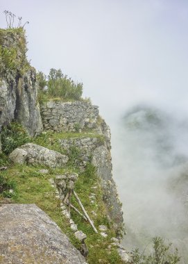 Machu Picchu Dağı 'nın tepesinde teraslar