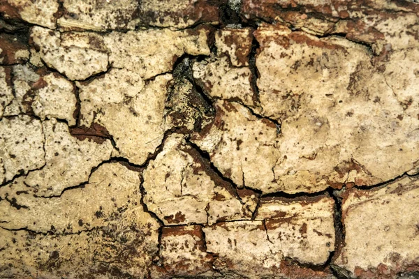 Textura da parede de tijolo rachado — Fotografia de Stock