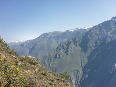 colca Vadisi arequipa Peru dağlarına