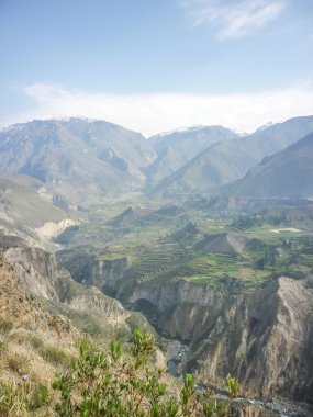 colca Vadisi arequipa Peru dağlarına