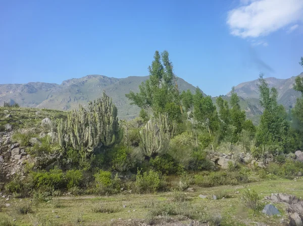 Paysage de la chaîne des Andes en Juliaca Pérou — Photo