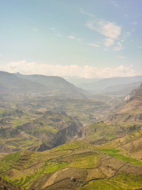 colca Vadisi arequipa Peru dağlarına