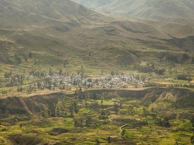 arequipa Peru outsides Yoksul köyde