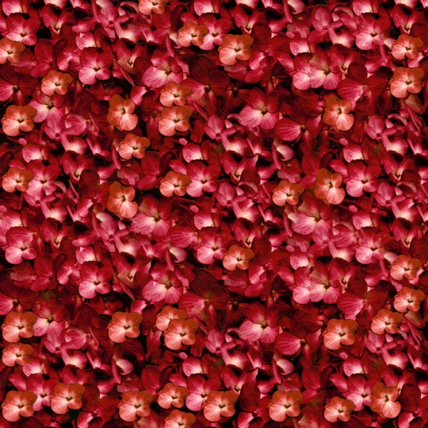 温かみのある色調の花パターンのコラージュ — ストック写真