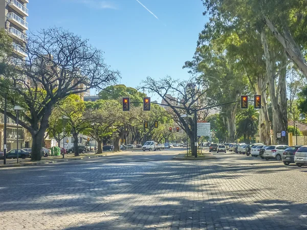Cobblestone Street a Rosario Argentina — Foto Stock