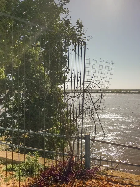 Río Paraná en Rosario Argentina —  Fotos de Stock