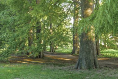 Montevideo Botanik Bahçesi