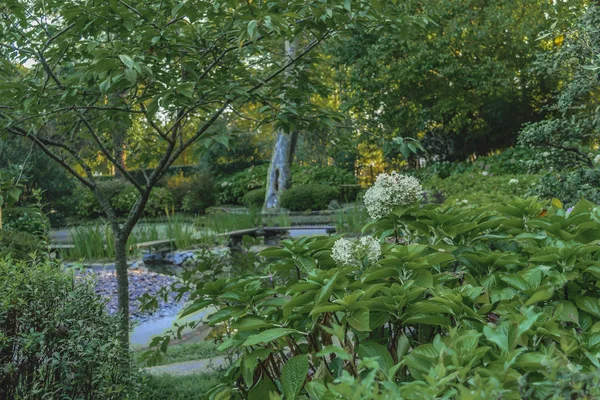 Montevideo Japanse tuin — Stockfoto