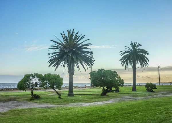 Liggande kust av Montevideo — Stockfoto