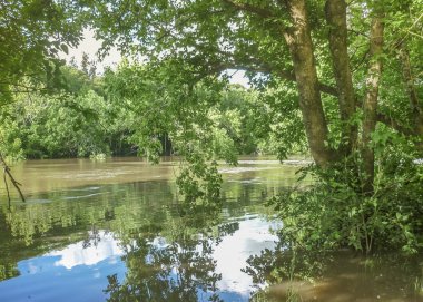 Pando Rill Montevideo dışında içinde