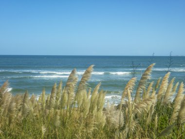 barışçı doğa olay yerinde deniz kenarı