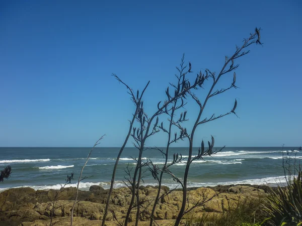 Vreedzame karakter scène aan de kust — Stockfoto