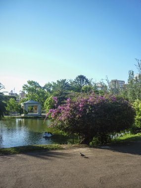 montevideo Park'ta Gölü
