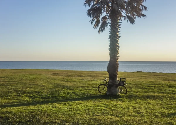 Bicicleta estacionada em um parque na costa em Montevidéu — Fotografia de Stock