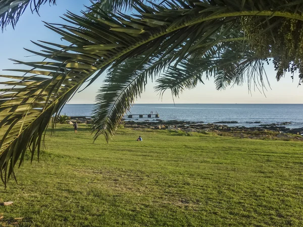 Park a tengerparton, Montevideo, Uruguay — Stock Fotó