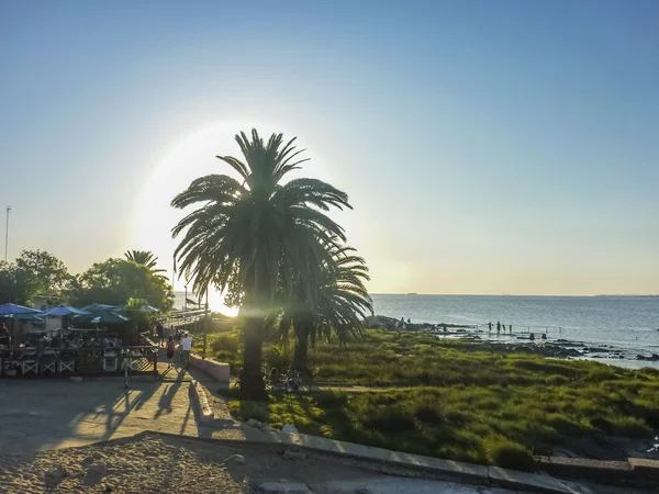 Restaurant de plein air sur la côte à Montevideo — Photo