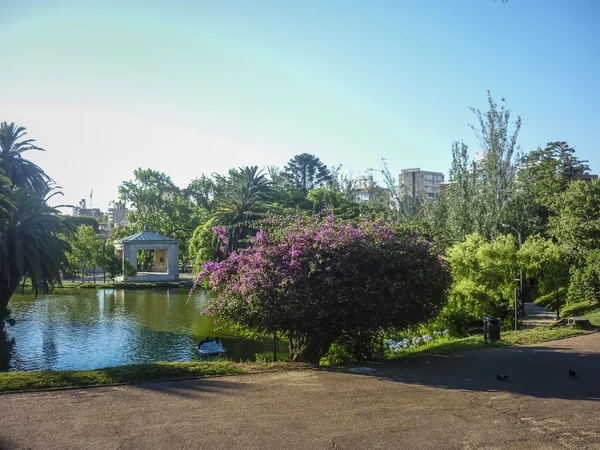 Lago en el Parque en Montevideo —  Fotos de Stock