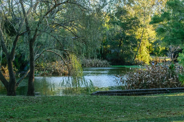 Lago y árboles en el Parque de Montevideo — Foto de Stock