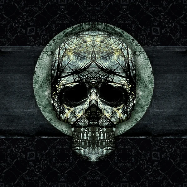 Skull Decorative Dark Artwork — Stockfoto