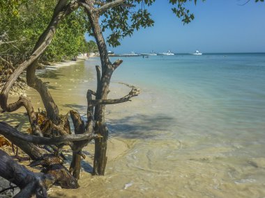 Cennet tropikal ada içinde Cartagena