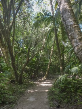 Tayrona Milli Parkı doğa