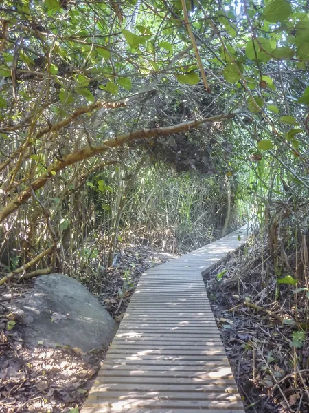 Tayrona nationalpark natur — Stockfoto