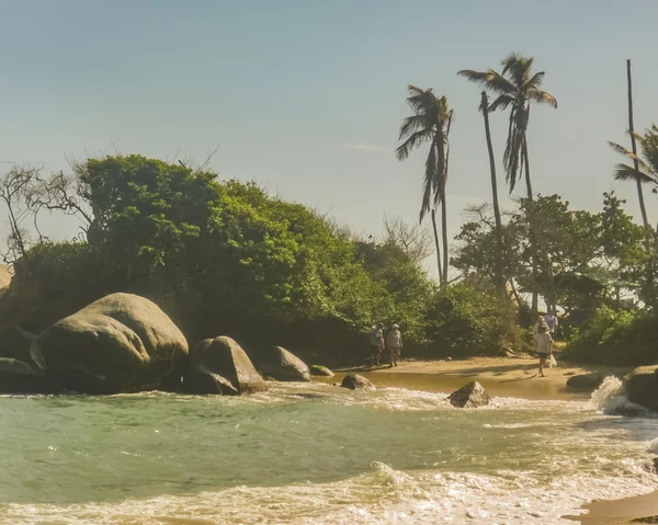 Tropical Beach i Tayrona nationalpark — Stockfoto