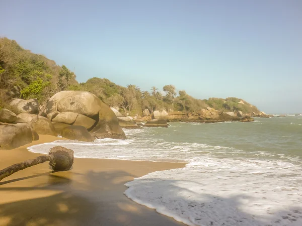 Tropischer Strand im tayrona nationalpark — Stockfoto