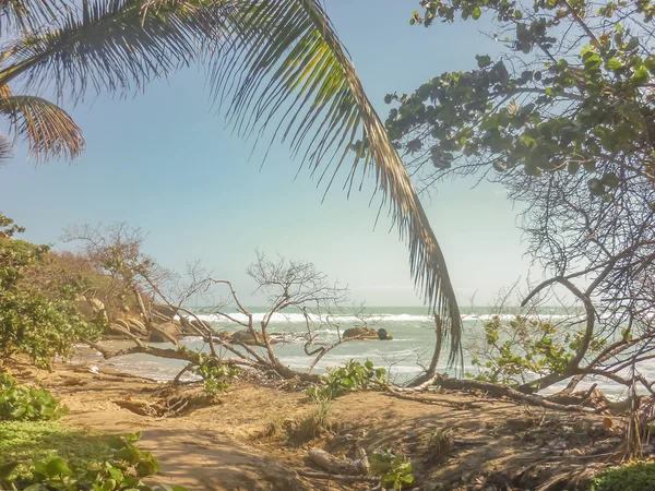 Tropischer Strand im tayrona nationalpark — Stockfoto