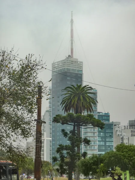 Montevideo plein in Misty dag — Stockfoto