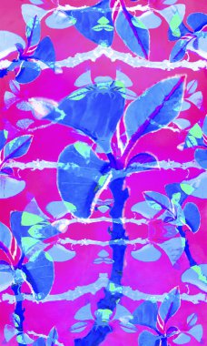 Yaz parlak çiçek arka plan