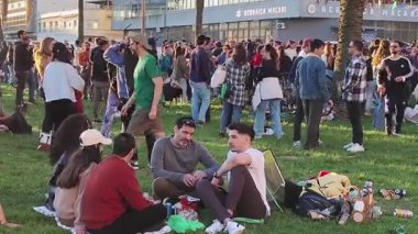 Montevideo, Uruguay: 9 Eylül 2025: Limana yanaşmış zarif bir yat ve yelkenli yelkenli dizisini gösteren videoyu yukarı kaldırın. 